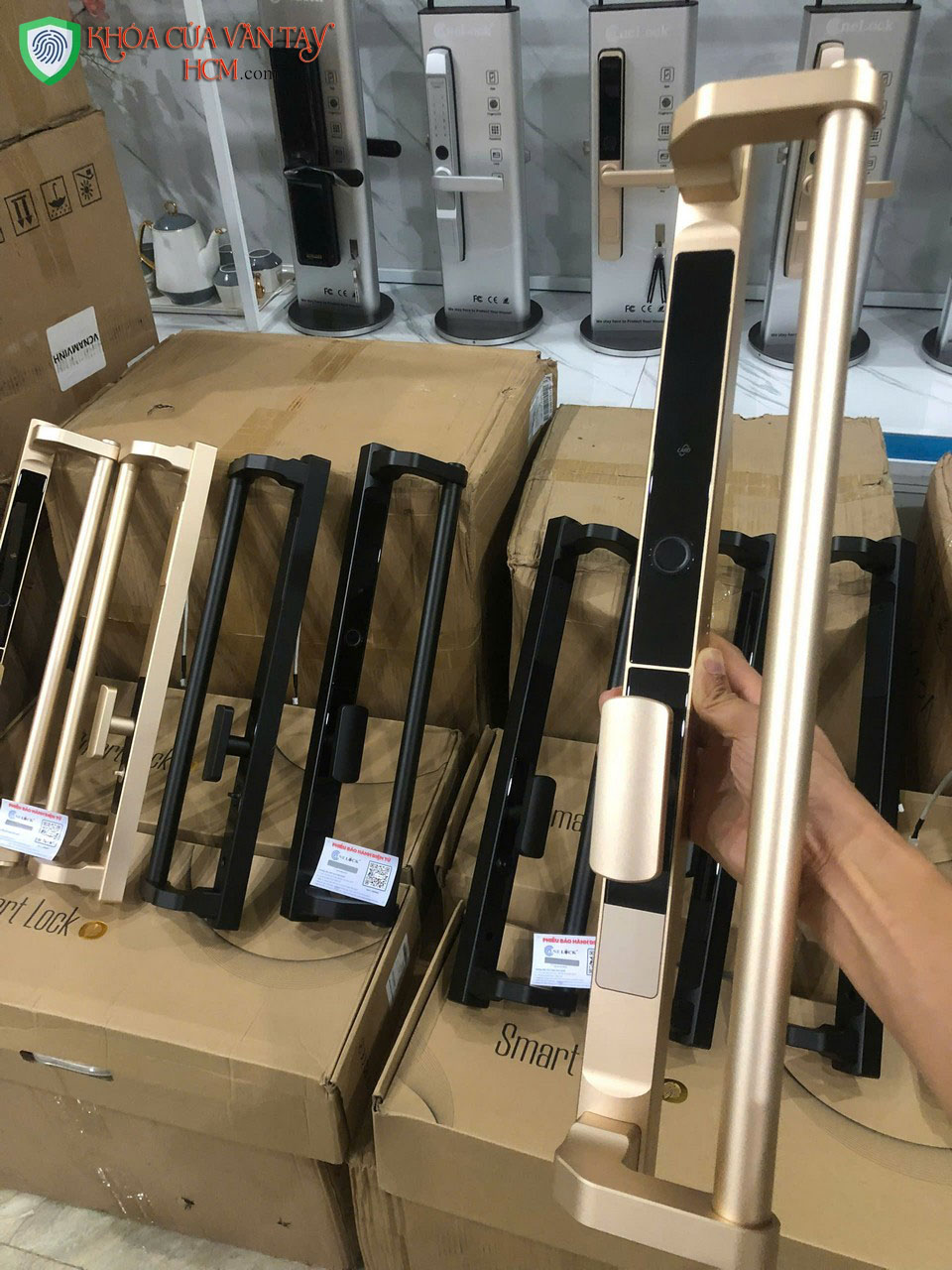 Các mẫu khóa cửa điện tử, khóa cửa vân tay HCM mới nhất