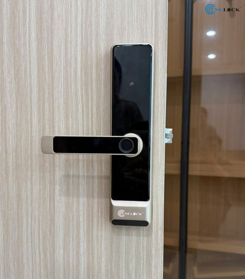 Khoa cua van tay Phu Quoc-Lap Cho cua nhua