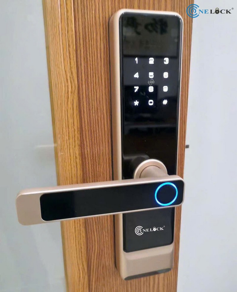 Khóa vân tay giá rẻ Cà Mau - Lắp cho cửa Gỗ