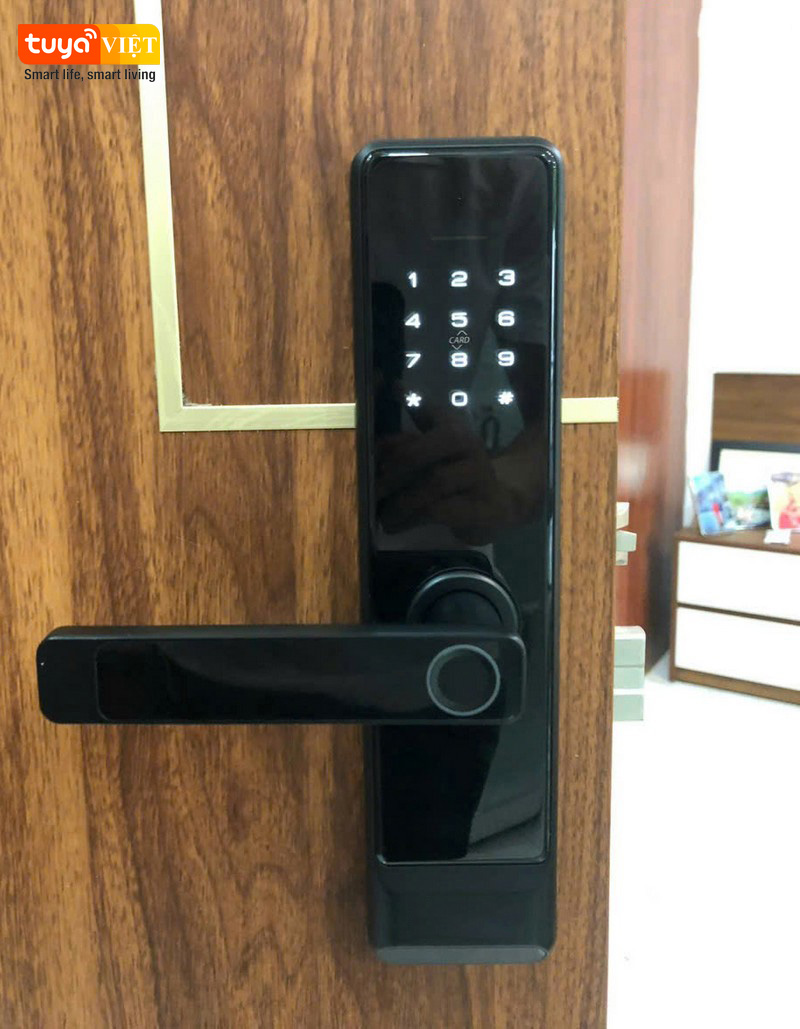 Khóa vân tay giá rẻ Cà Mau - Lắp cho cửa nhựa Composite